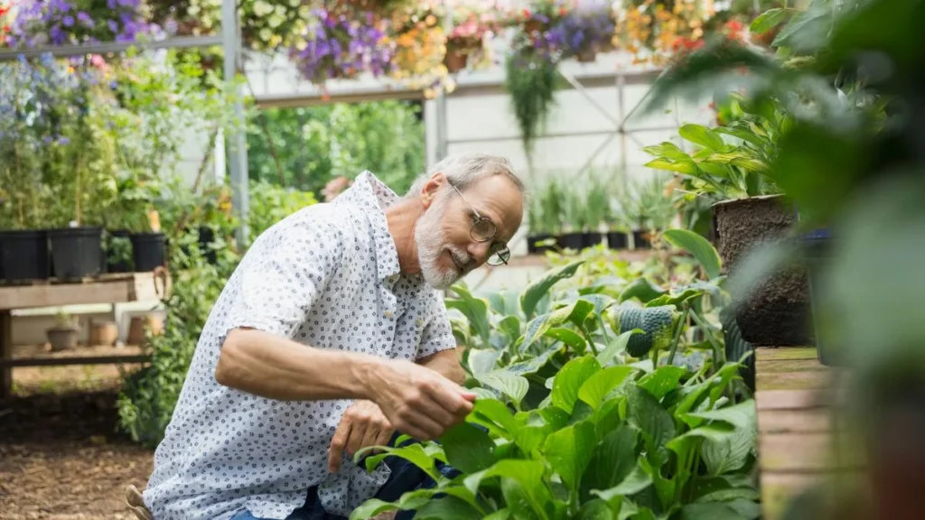 4 Outdoor Pursuits for Thrilling Hobbies for Seniors After Retirement