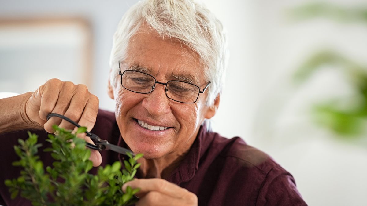 15 Retirement Hobbies That Pay Better Than a Part-Time Job (Yes, Really!)
