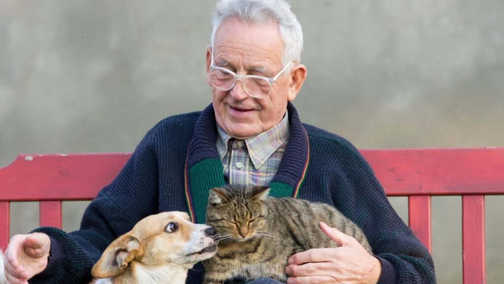 Adopt or Spend Time With an Animal Carefully