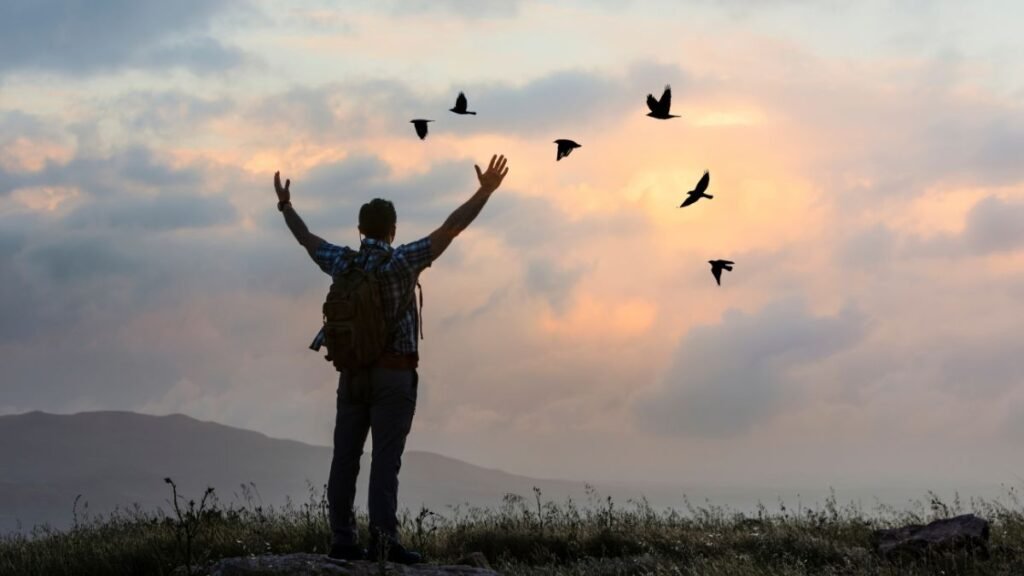 Freedom