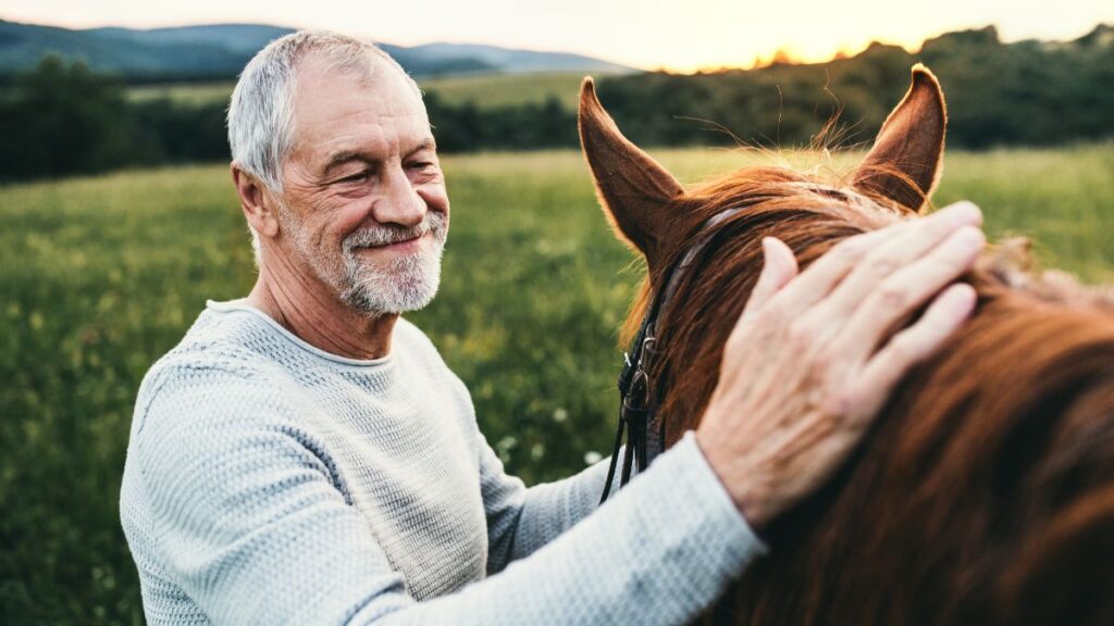 Learn to Sail or Ride a Horse
