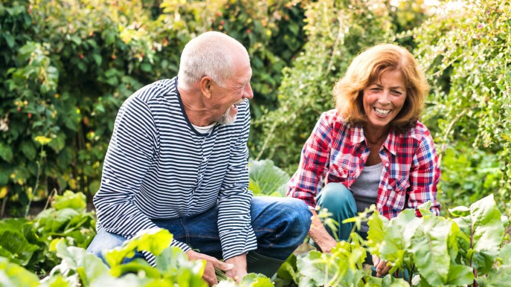 Grow a Garden You Can Care for Together