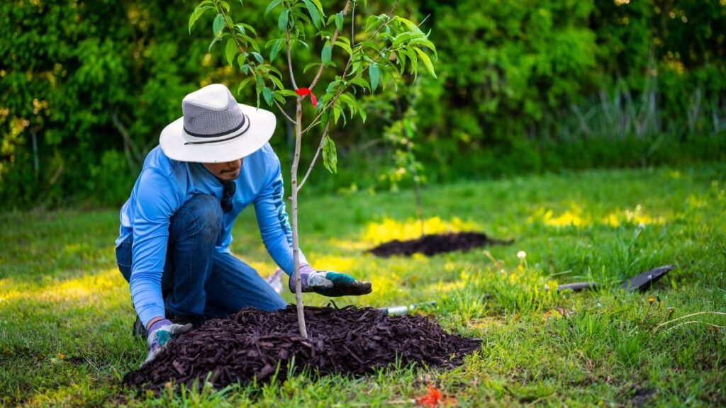 Why Hobbies Make Staying Home Feel Full Instead of Empty