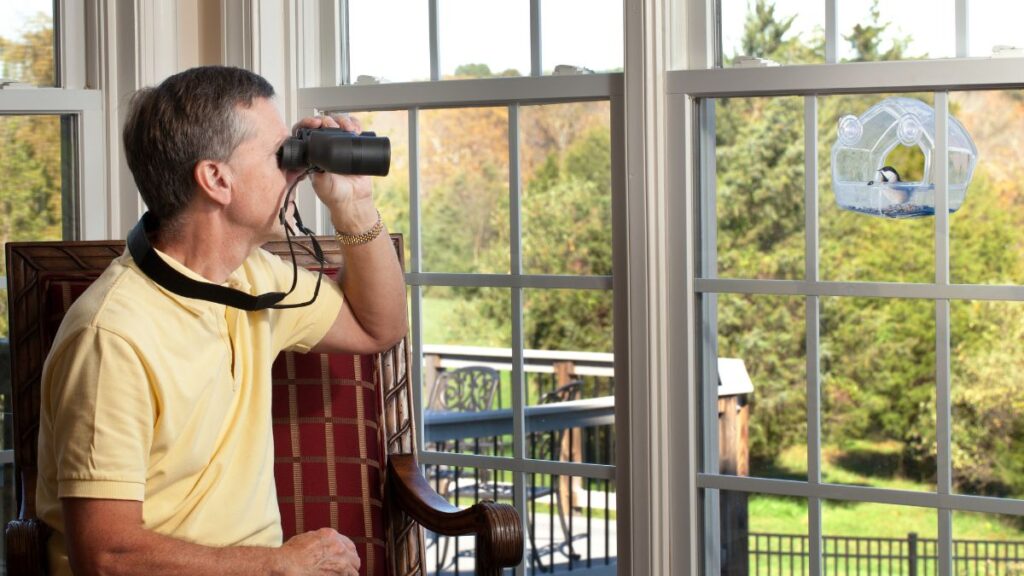 Watch Birds From Your Window