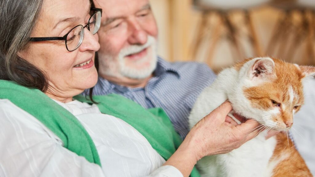 Care for a Pet or Foster Animals Together