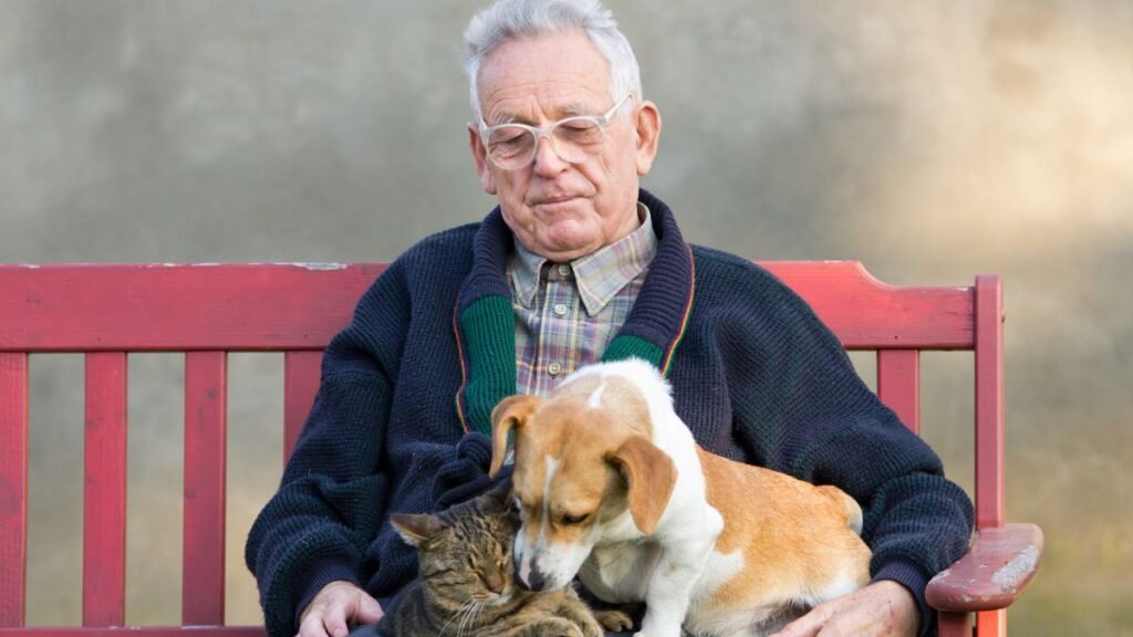 Pet Care