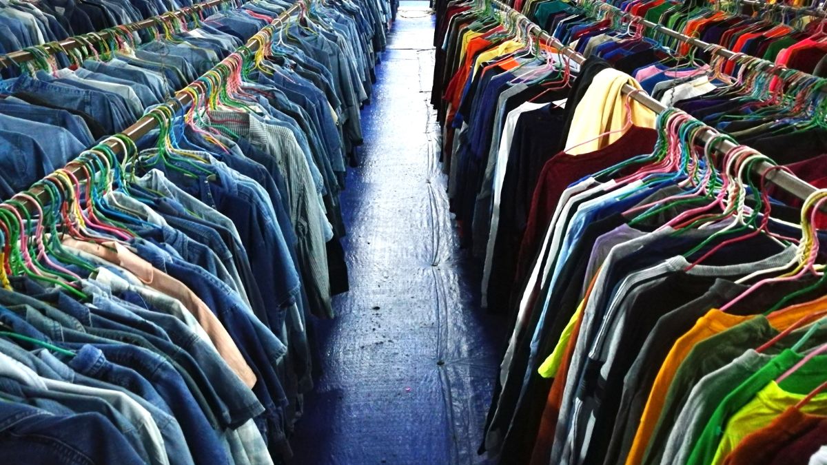 $40–$80 The Mid-Range Picks That Outperform Brands Twice the Price