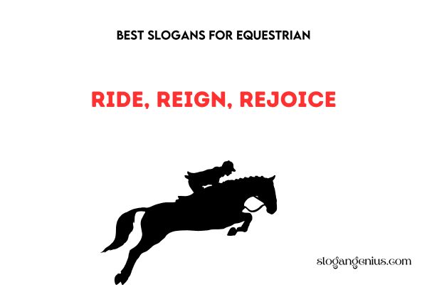 Best Slogans for Equestrian