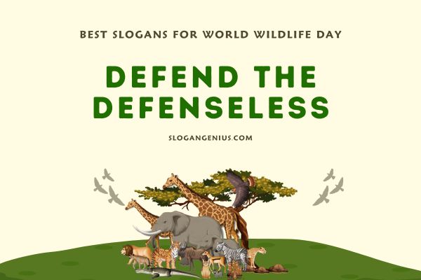 Best Slogans for World Wildlife Day