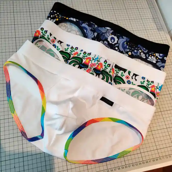 Briefs