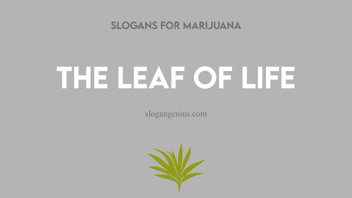 Catchy Slogans for Marijuana