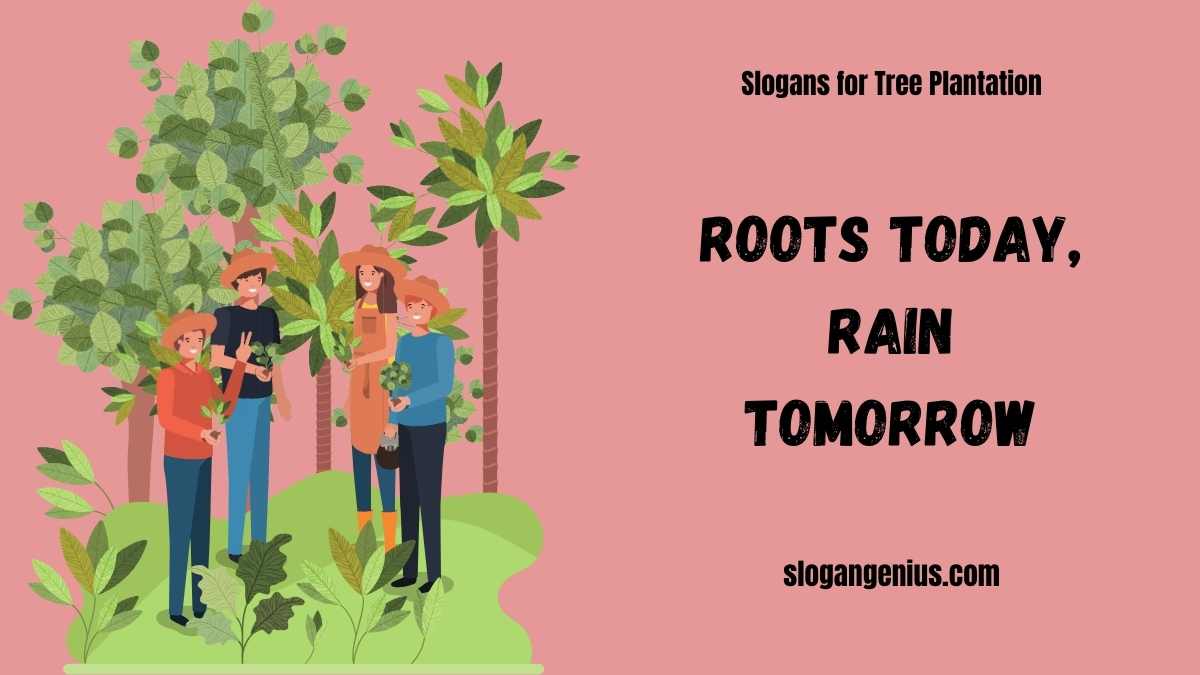 Catchy Slogans for Tree Plantation