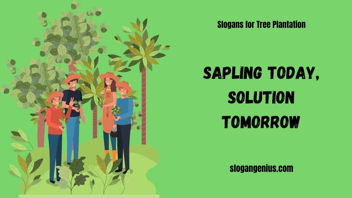 Clever Slogans for Tree Plantation