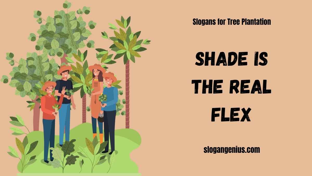 Cool Slogans for Tree Plantation