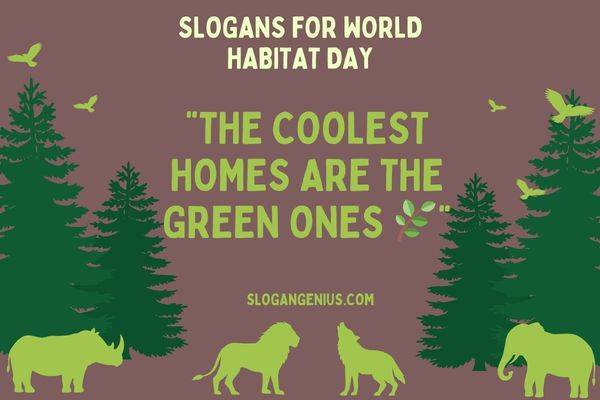 Cool Slogans for World Habitat Day