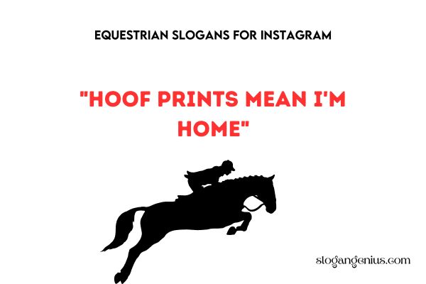Equestrian Slogans for Instagram