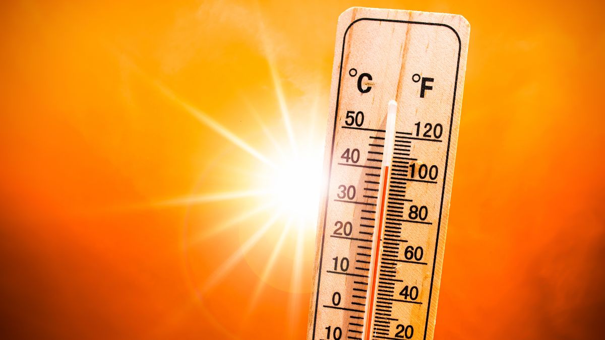 Fabric Is the Only Variable That Actually Matters in 35°C Heat