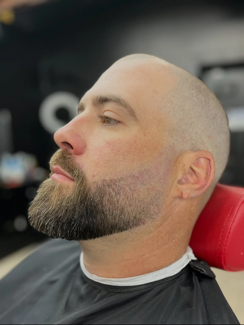 Faded Hollywoodian Beard