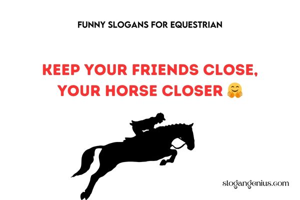 Funny Slogans for Equestrian