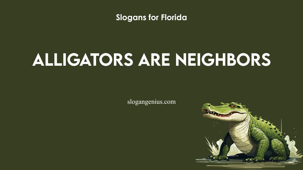 Funny Slogans for Florida
