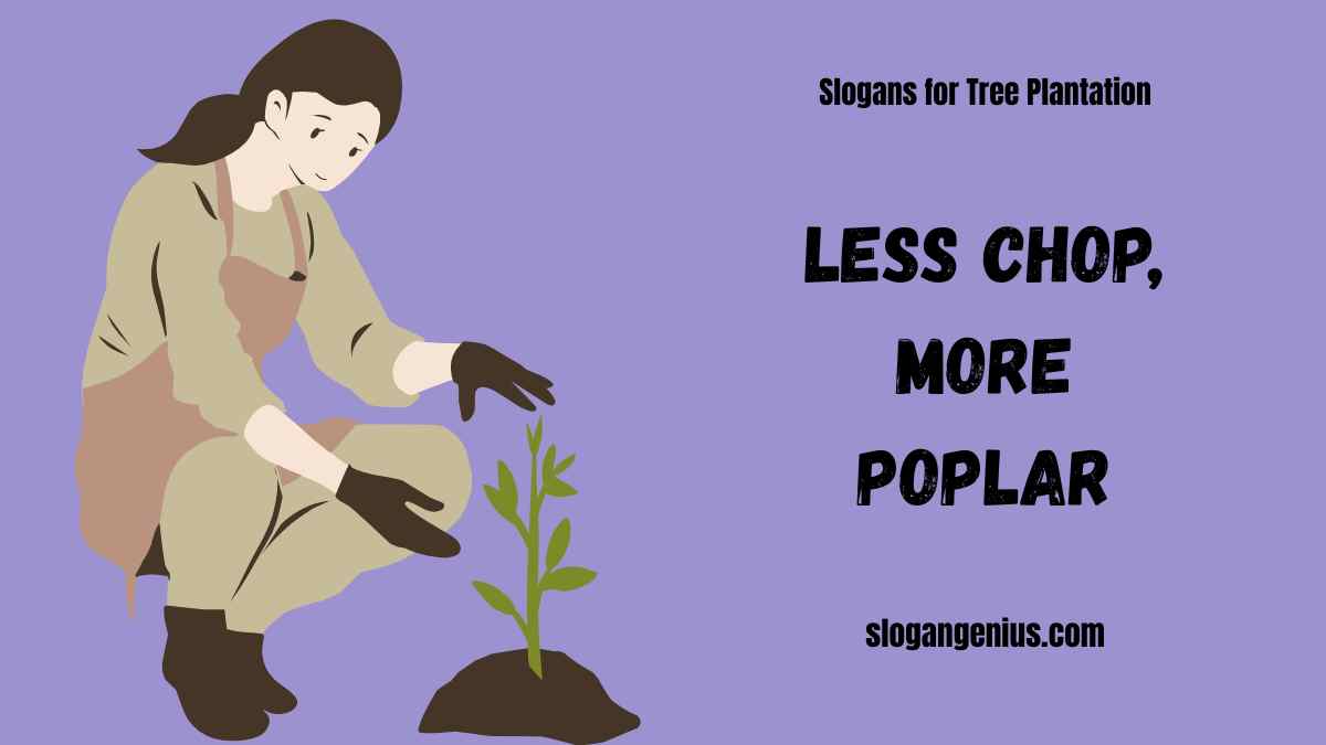 Funny Slogans for Tree Plantation