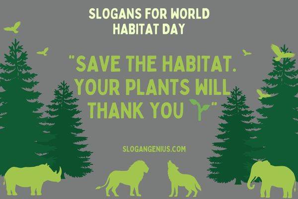 Funny Slogans for World Habitat Day