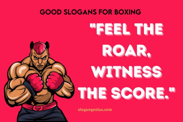 Good Slogans for Boxing