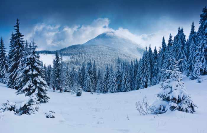 Instagram Captions for Winters