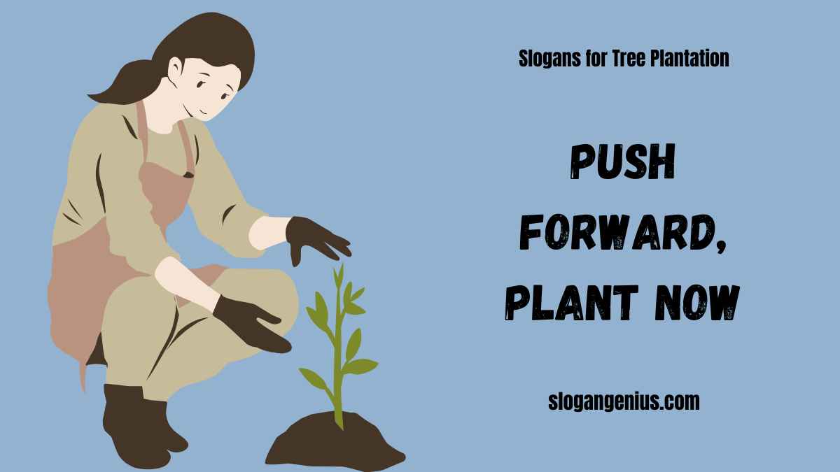 Motivational Slogans for Tree Plantation