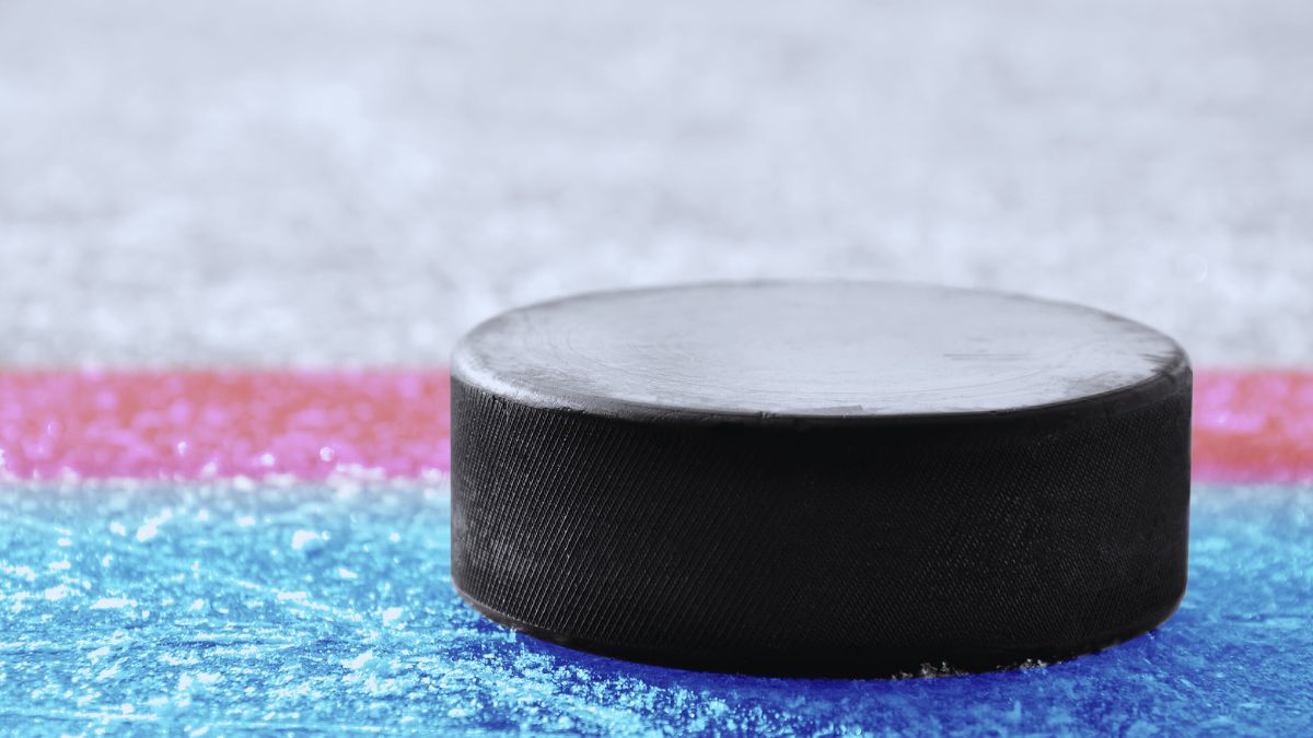 Names for Hockey Puck