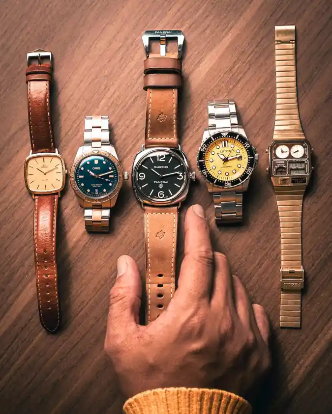 Panerai Radiomir and Diverse Timepieces