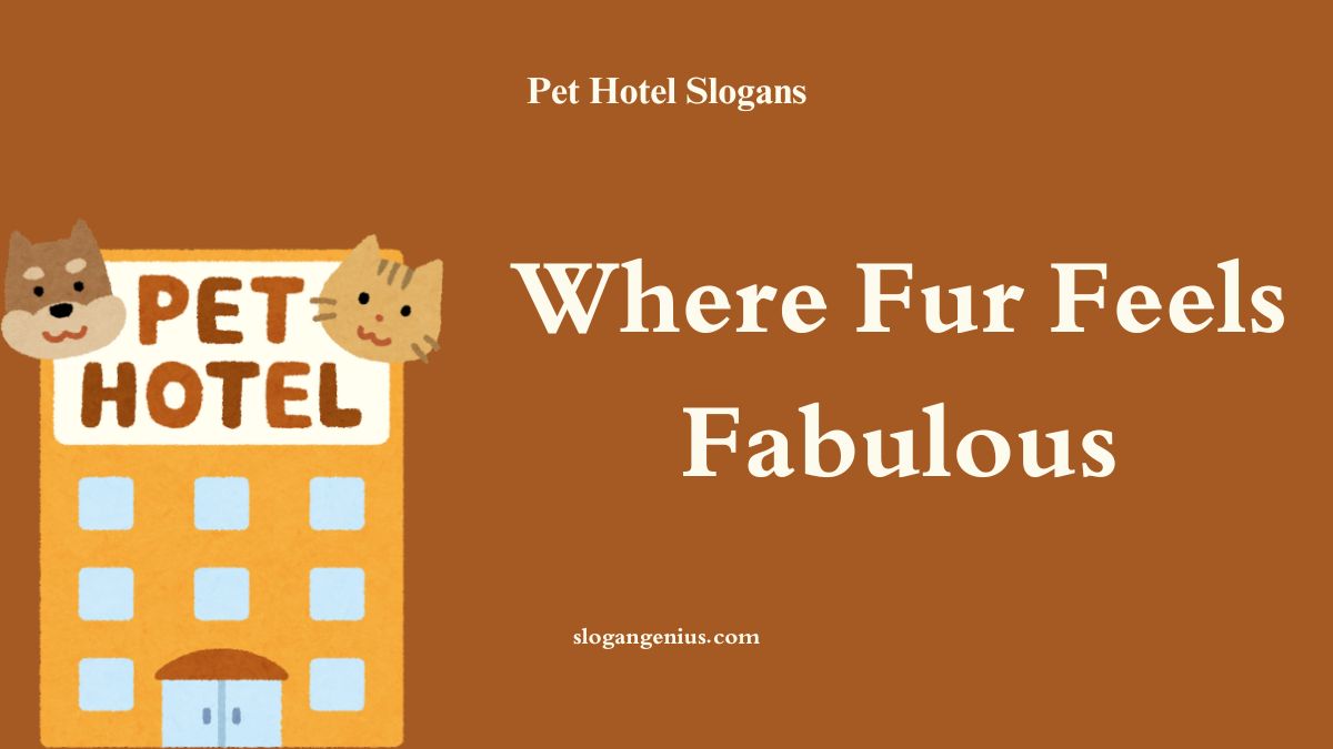 Pet Hotel Slogans