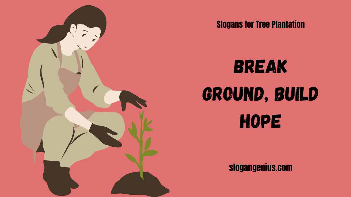 Powerful Slogans for Tree Plantation