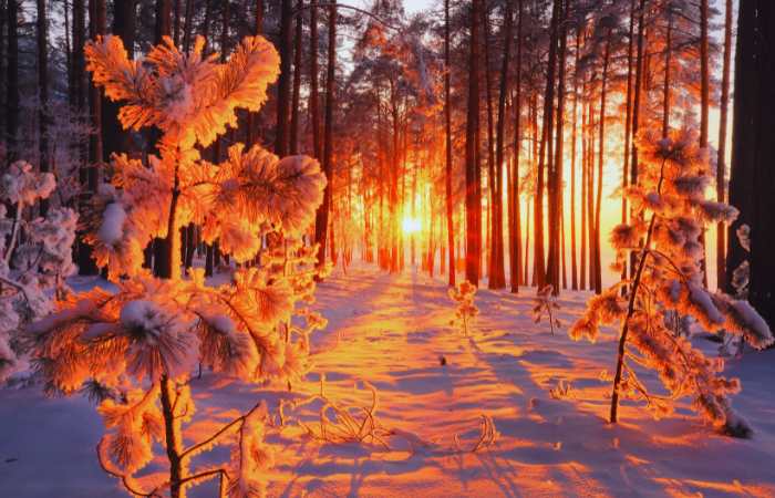 Short Slogan for Winters