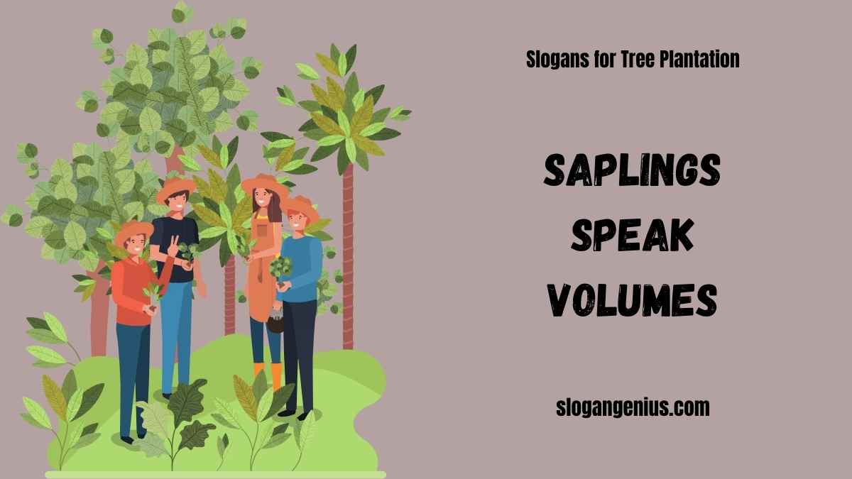 Short Slogans for Tree Plantation