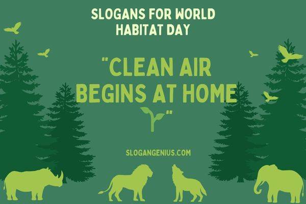 Short Slogans for World Habitat Day