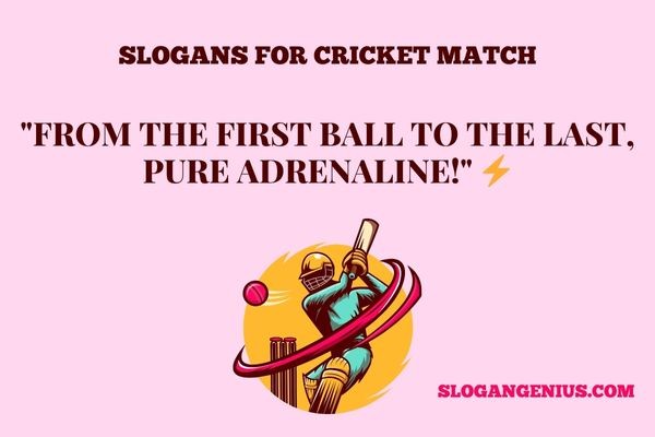 Slogans for Cricket Match