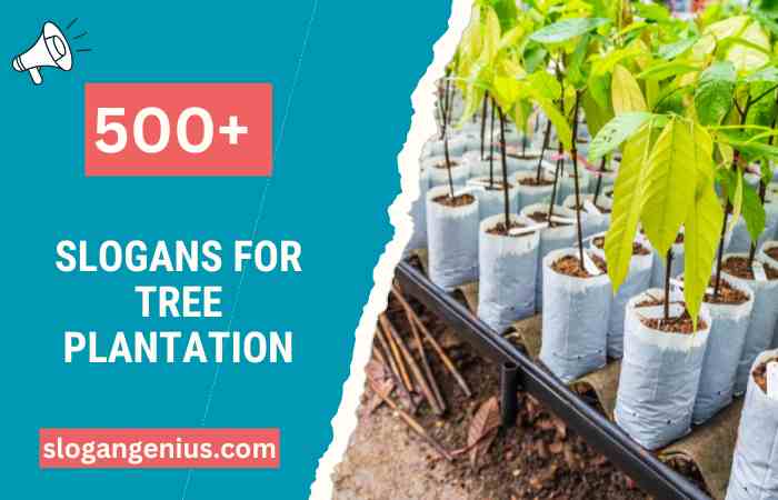 Slogans for Tree Plantation