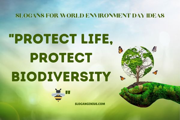 Slogans for World Environment Day Ideas
