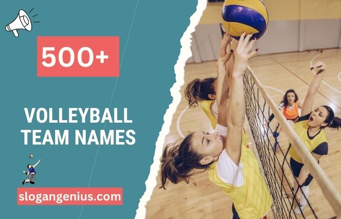 Volleyball Team Names