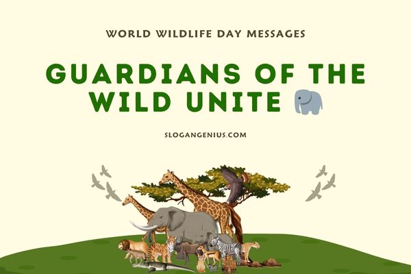 World Wildlife Day Messages