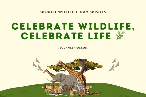World Wildlife Day Wishes
