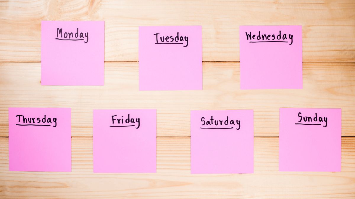 Your Exact 12-Week Plan: What to Do in Week 1, Weeks 2–4, and Weeks 5–12